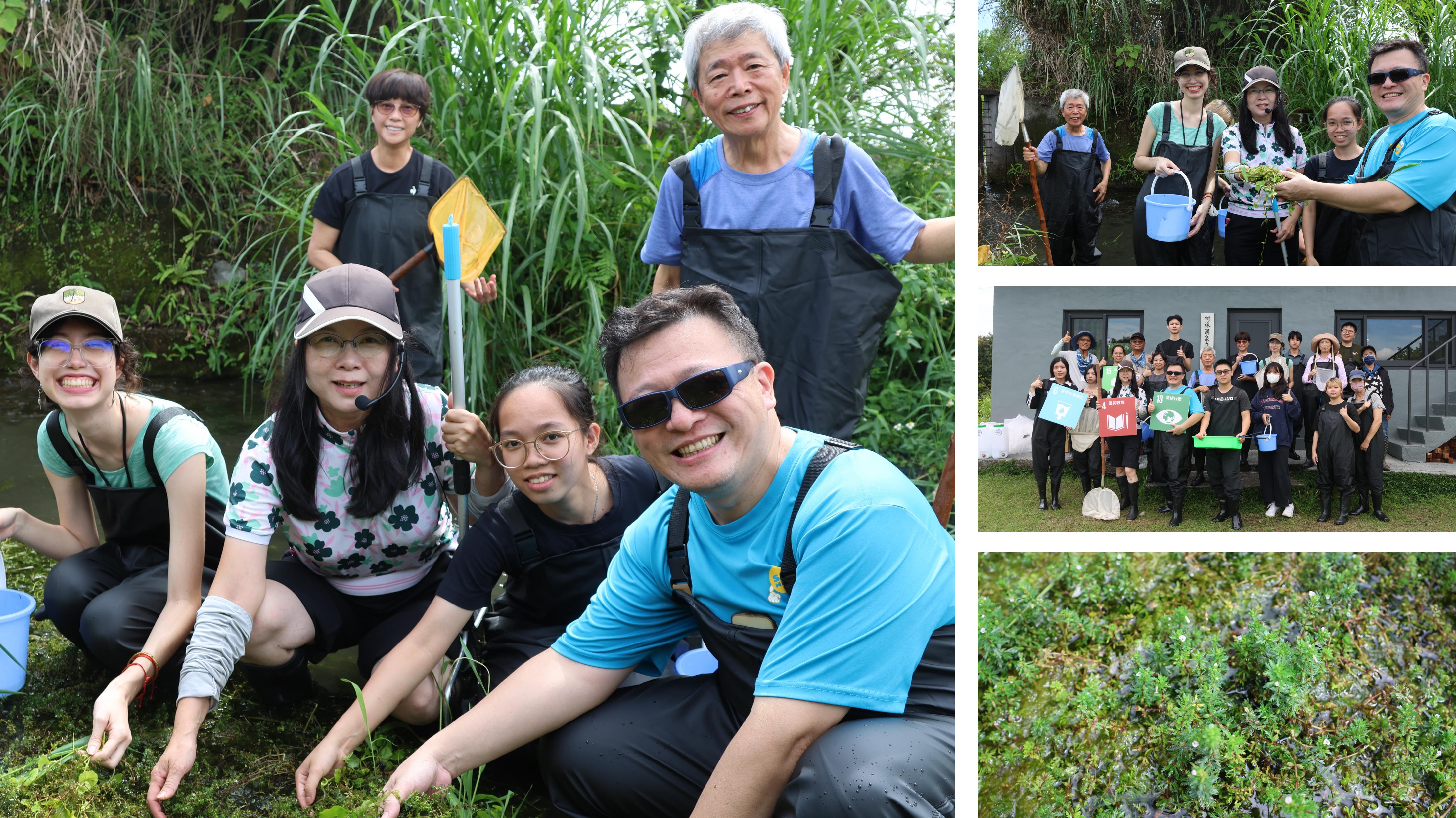 師生共同協助復育瀕危的臺灣特有水生植物「桃園石龍尾」(Limnophila taoyuanensis)