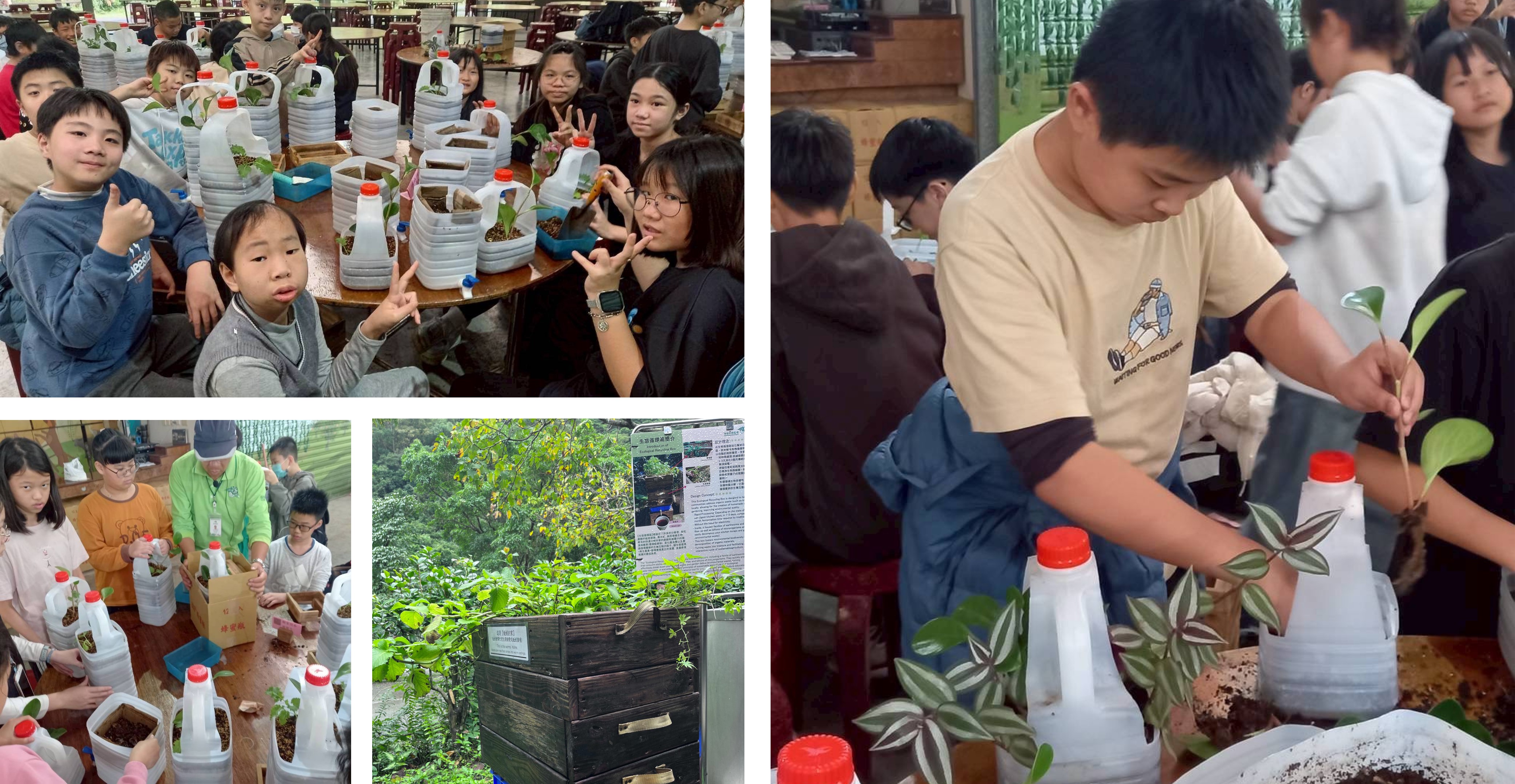 「蚯蚓公寓」透過蚯蚓與微生物將廚餘轉化為有機肥