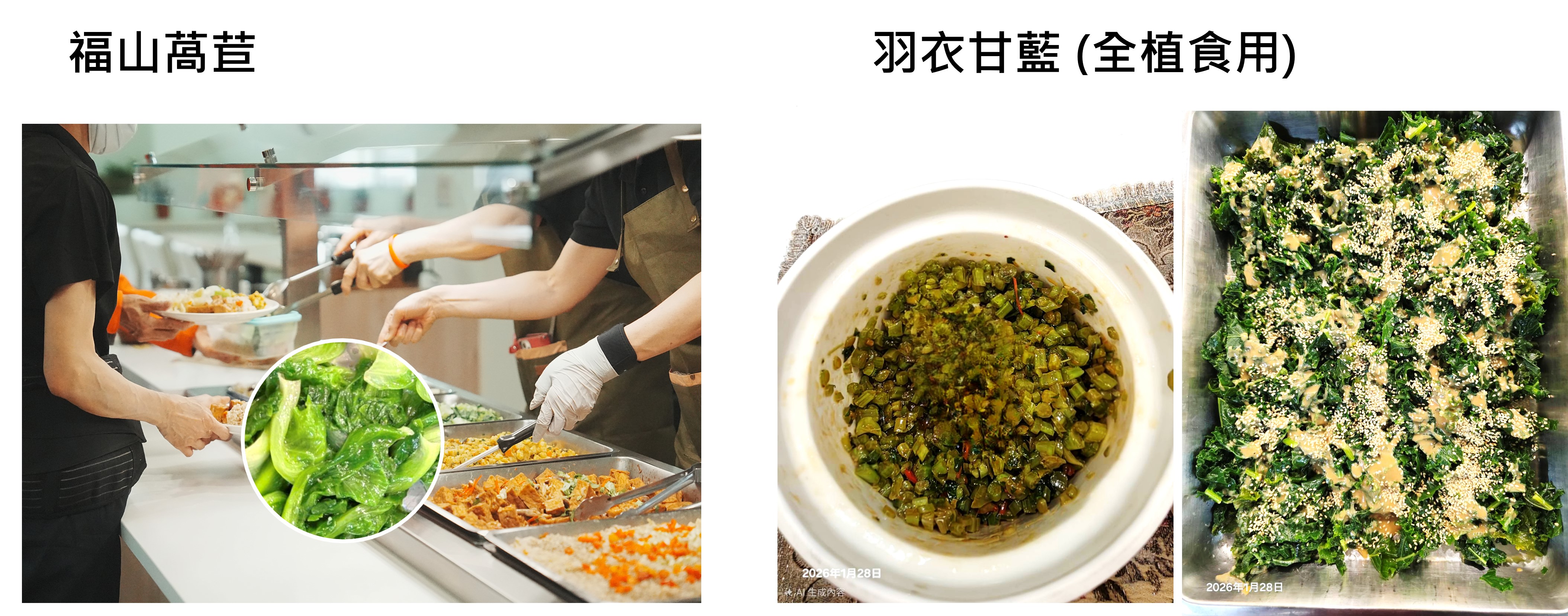 農友在災後努力復耕,種植櫻桃蘿蔔、青花菜、羽衣甘藍等當令蔬菜,法味餐廳將農友復耕成果化為美味佳餚 農友在災後努力復耕,種植櫻桃蘿蔔、青花菜、羽衣甘藍等當令蔬菜,法味餐廳將農友復耕成果化為美味佳餚